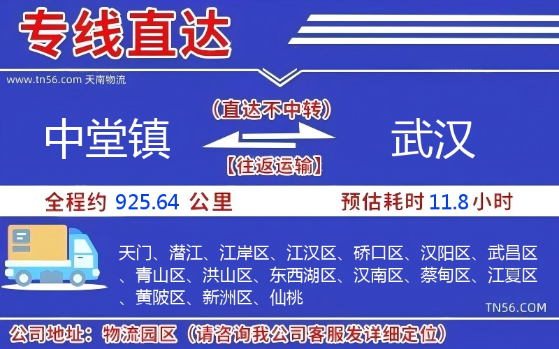 中堂镇到武汉物流公司