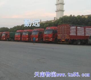 22095W209-4 17.5板陈翻大件图片